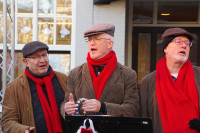 /album/fotogalerij/imgp9503-jpg/